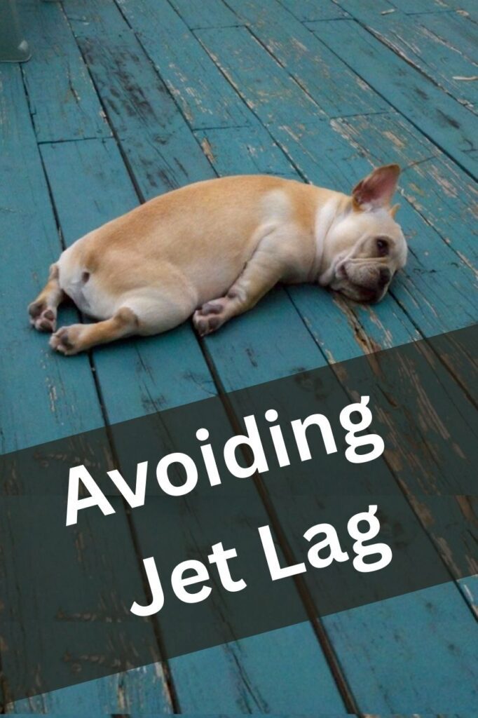 Avoiding Jet Lag cover pin